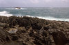 Hawaii Coastline