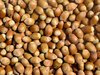 hazelnuts