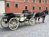 horse and carriage