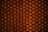Cells within cells 2