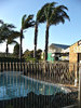 backyard pool