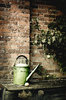 Old Watering Can