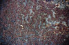 texture