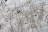texture