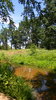 Green Belarus