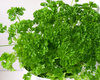 Herbs