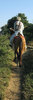 Man on horseback
