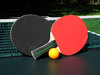 ping pong paddle