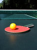 ping pong paddle