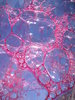 Bubbles 4