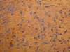 Metal texture 2