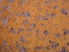Metal texture