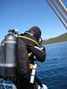 diver