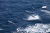 Sea surface 4