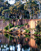 claypit reflections