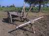 Cart 1
