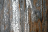 Weathered Wood