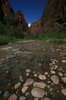 Virgin river (Zion N. Park) 1