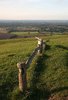 Ancient fence posts