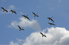 Into the blue yonder.