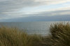 The coast.