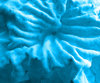  iceberg cool blue