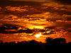 autumn sky show