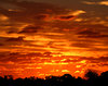 autumn sky show