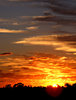 autumn sky show
