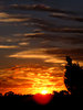 autumn sky show