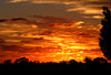 autumn sky show