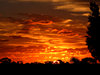 autumn sky show