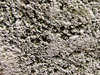 limestone rockface