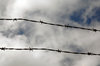 Barbed Wire
