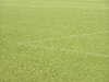 Soccer field