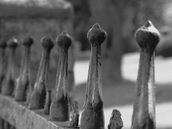  Old cemetery fence: I went into an old cemetery and took a few shots