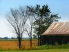 Old tin roof barn