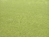 Soccer field