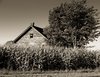 Old farm house B&W