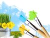 Painting flowers and grass