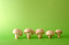mushrooms 3