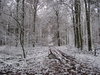 White world 2