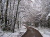 White world 4
