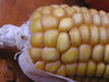 corn cob