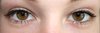 coloured eyes