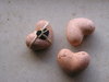 heart 2