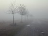 misty morning
