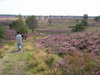 Landscape 3