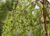 fly-screen