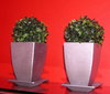 decoration